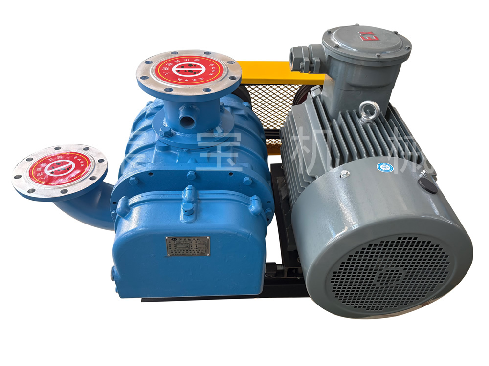 负压罗茨鼓风机