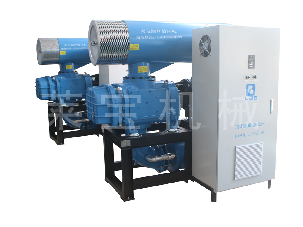 经济型螺杆鼓风机