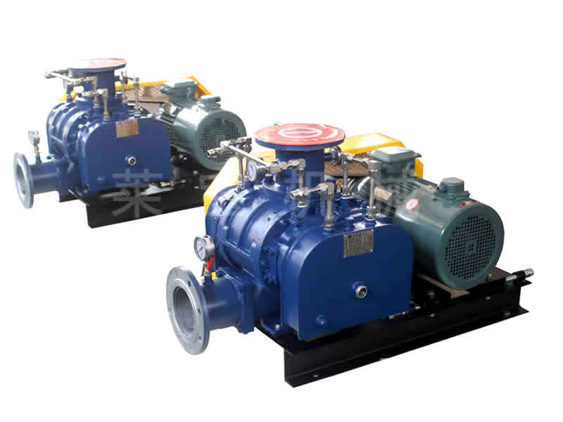 350 ℃高温罗茨风机