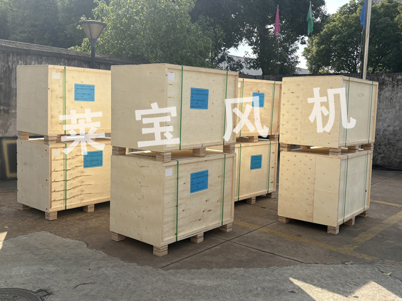 江苏莱宝12台LBSR 100罗茨风机顺利发货